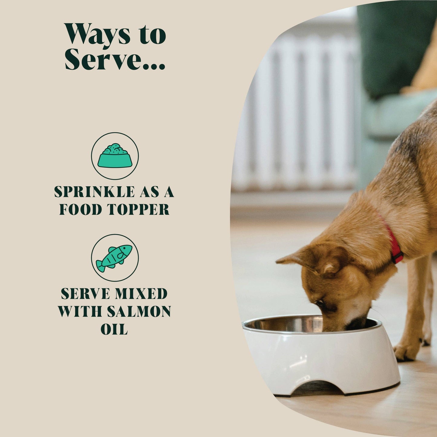 Green Lipped Mussel Powder for Dogs | 80 Servings